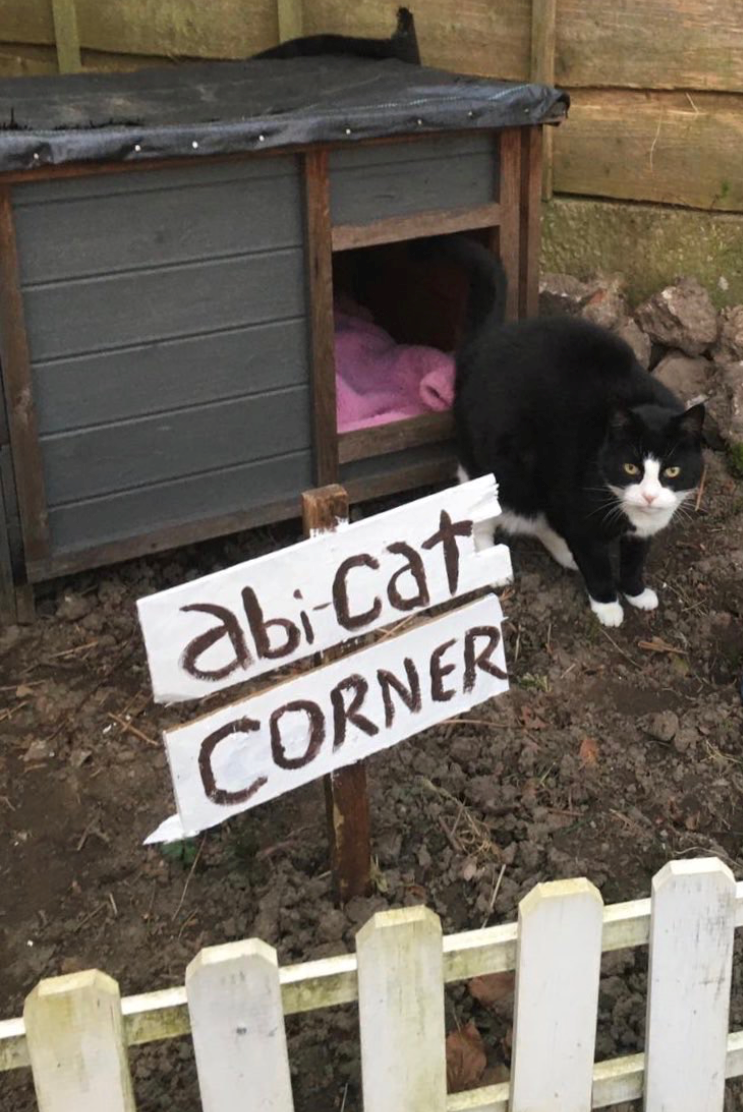 Photo os a black and white cat walking out of a wooden hutch with a pink blanket inside and a sign outside saying 'Abi-Cat Corner'.